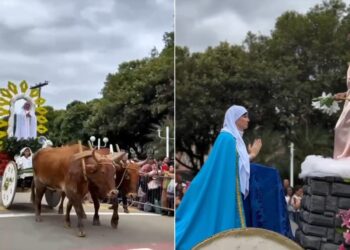 Festa de Carros de Boi de Raposo chega à 64ª edição e deve atrair até 20 mil visitantes