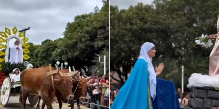 Festa de Carros de Boi de Raposo chega à 64ª edição e deve atrair até 20 mil visitantes