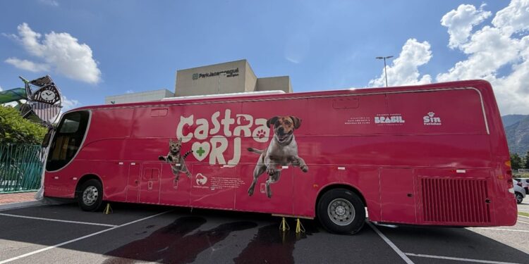 Petrópolis recebe programa gratuito de castração para cães e gatos